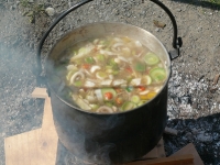 Sommerfest 2011